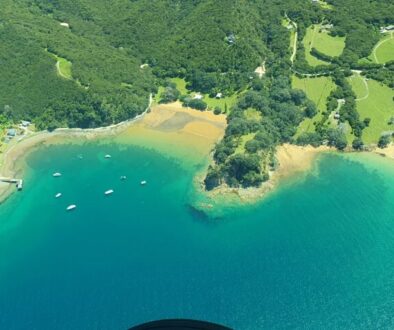 Flying over Great Barrier Island