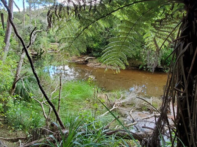 Kaitoke Hot Springs