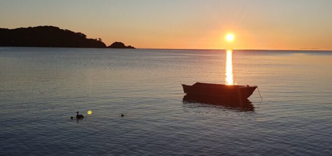 Mulberry Grove, Great Barrier Island