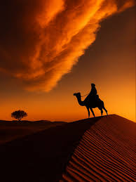 “Golden desert dunes at sunset outside Dubai with camel silhouettes” • “Dubai skyline glowing at night with Burj Khalifa towering above city lights”