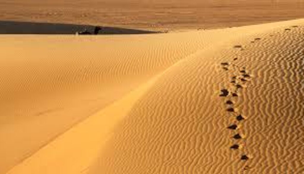 golden dunes of the Sahara