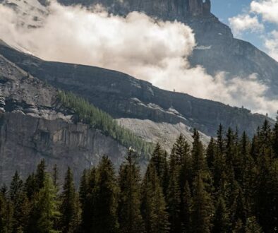 mountain5